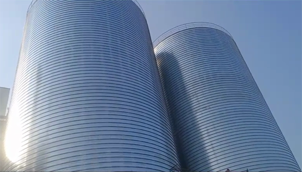 繁峙2座混凝土高架卷板仓